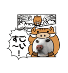 秋田犬TAMのお正月（個別スタンプ：8）