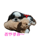 琥珀 スタンプ（個別スタンプ：2）