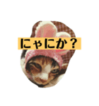 ミニー姐さんのみけねこスタンプ（個別スタンプ：2）