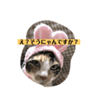 ミニー姐さんのみけねこスタンプ（個別スタンプ：8）