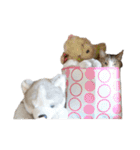 猫ねこにゃんぽ（個別スタンプ：4）