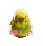 さすけなな（個別スタンプ：1）