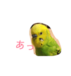 さすけなな（個別スタンプ：2）