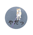 さすけなな（個別スタンプ：3）