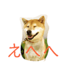 さすけなな（個別スタンプ：5）