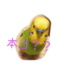 さすけなな（個別スタンプ：6）