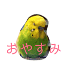 さすけなな（個別スタンプ：7）