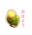 さすけなな（個別スタンプ：15）