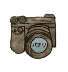 カメラ好き（個別スタンプ：7）