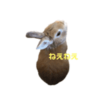 ちょふりんの毎日（個別スタンプ：2）