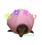 ちょふりんの毎日（個別スタンプ：22）