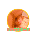 ココとチビ2（個別スタンプ：3）