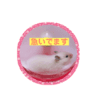 ココとチビ2（個別スタンプ：8）