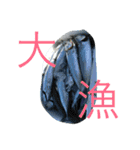 カゴ釣りスタンプ（個別スタンプ：1）