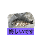 カゴ釣りスタンプ（個別スタンプ：4）