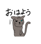 猫 関西弁（個別スタンプ：1）