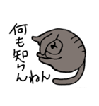 猫 関西弁（個別スタンプ：3）