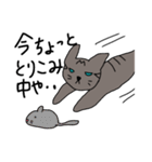 猫 関西弁（個別スタンプ：4）