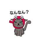 猫 関西弁（個別スタンプ：12）