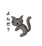 猫 関西弁（個別スタンプ：21）