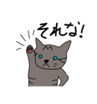 猫 関西弁（個別スタンプ：35）