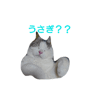 haku nyan 2（個別スタンプ：4）