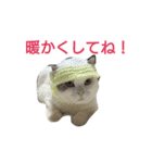 haku nyan 2（個別スタンプ：9）