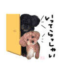 となりのぷー（個別スタンプ：6）