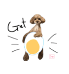 となりのぷー（個別スタンプ：13）