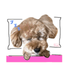 となりのぷー（個別スタンプ：18）