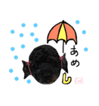 となりのぷー（個別スタンプ：19）