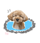 となりのぷー（個別スタンプ：23）