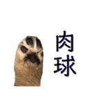 愛犬クマの日常（個別スタンプ：14）