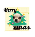 年末年始xmasのそら（個別スタンプ：3）