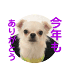 年末年始xmasのそら（個別スタンプ：4）