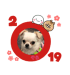 年末年始xmasのそら（個別スタンプ：6）