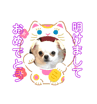年末年始xmasのそら（個別スタンプ：7）