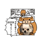 年末年始xmasのそら（個別スタンプ：8）