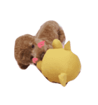 るる♡きらら（個別スタンプ：2）