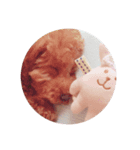 るる♡きらら（個別スタンプ：8）