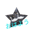 BLU5（個別スタンプ：2）