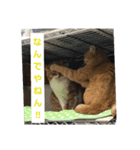 ヌコの私生活…（個別スタンプ：2）