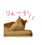 猫のネイマールとカカ（個別スタンプ：9）