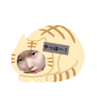 ゆんちょるくまさん、ねこさん、色々Ver.（個別スタンプ：7）
