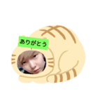 ゆんちょるくまさん、ねこさん、色々Ver.（個別スタンプ：8）