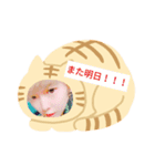 ゆんちょるくまさん、ねこさん、色々Ver.（個別スタンプ：16）