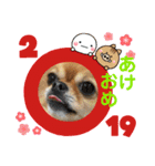 チワぽん(お正月バージョン)（個別スタンプ：3）