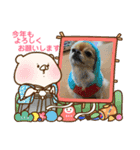 チワぽん(お正月バージョン)（個別スタンプ：6）