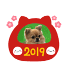 チワぽん(お正月バージョン)（個別スタンプ：10）