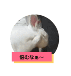 うさぎのち晴れ♪
時々⭐ちんちら④（個別スタンプ：9）
